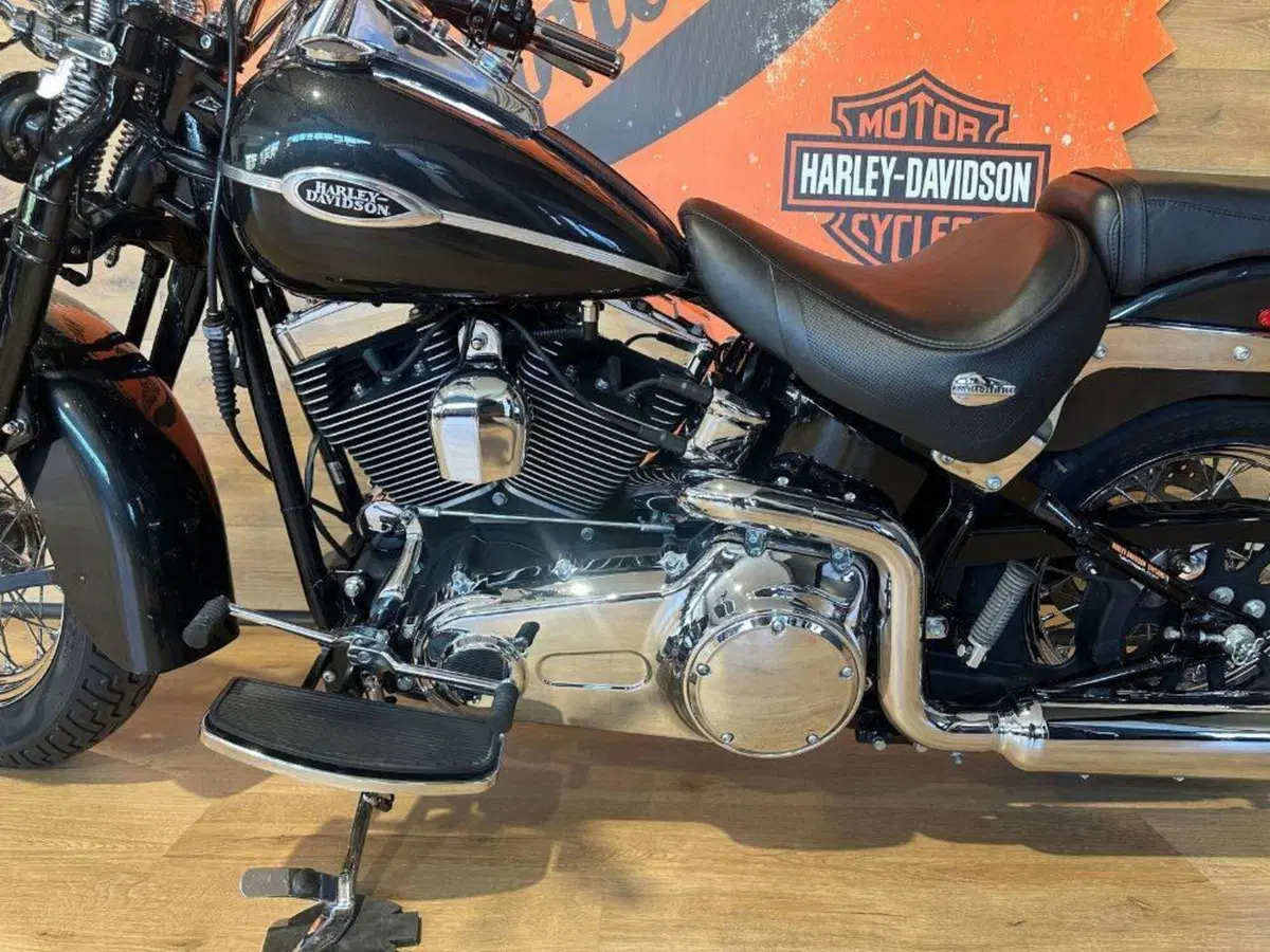 Harley-Davidson 1584 Springer Classic (2006 - 07) - FLSTSC (12)