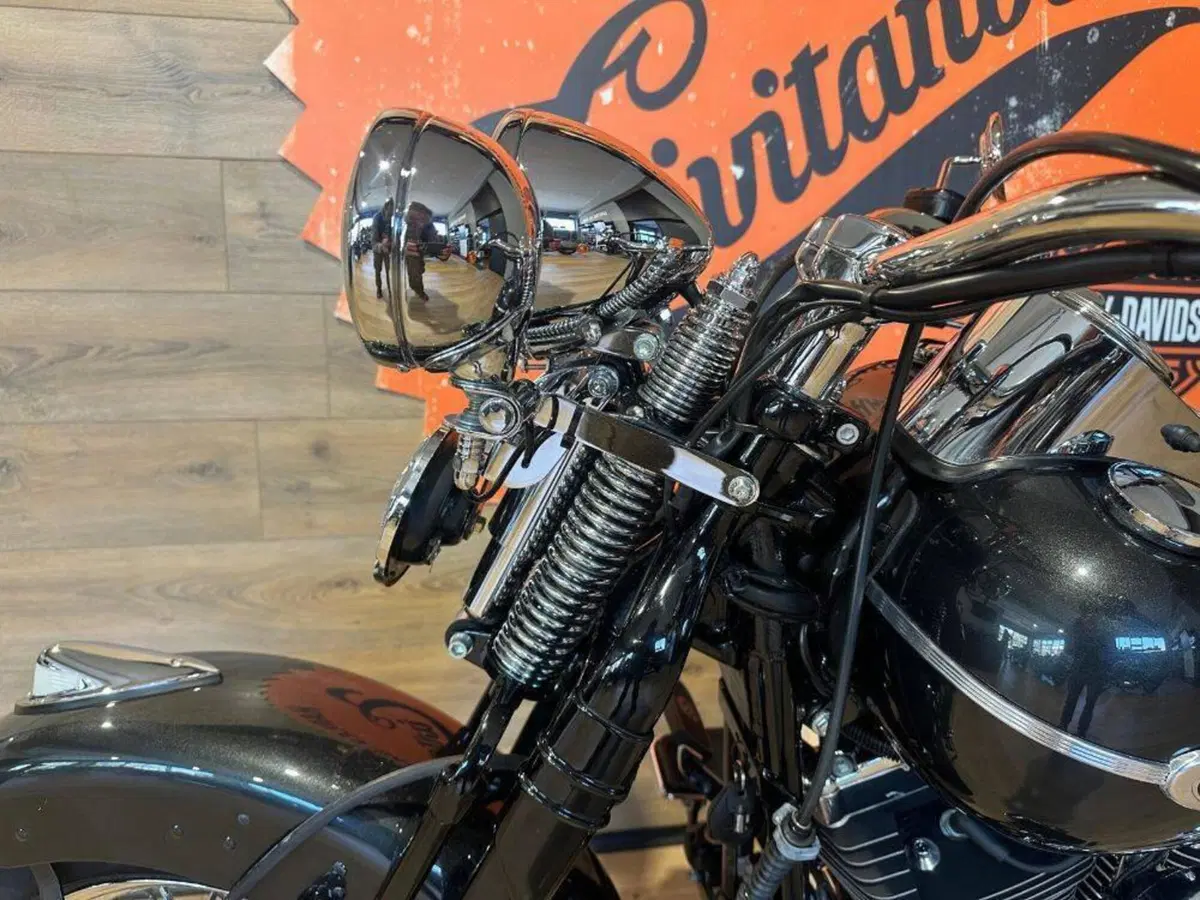 Harley-Davidson 1584 Springer Classic (2006 - 07) - FLSTSC (14)