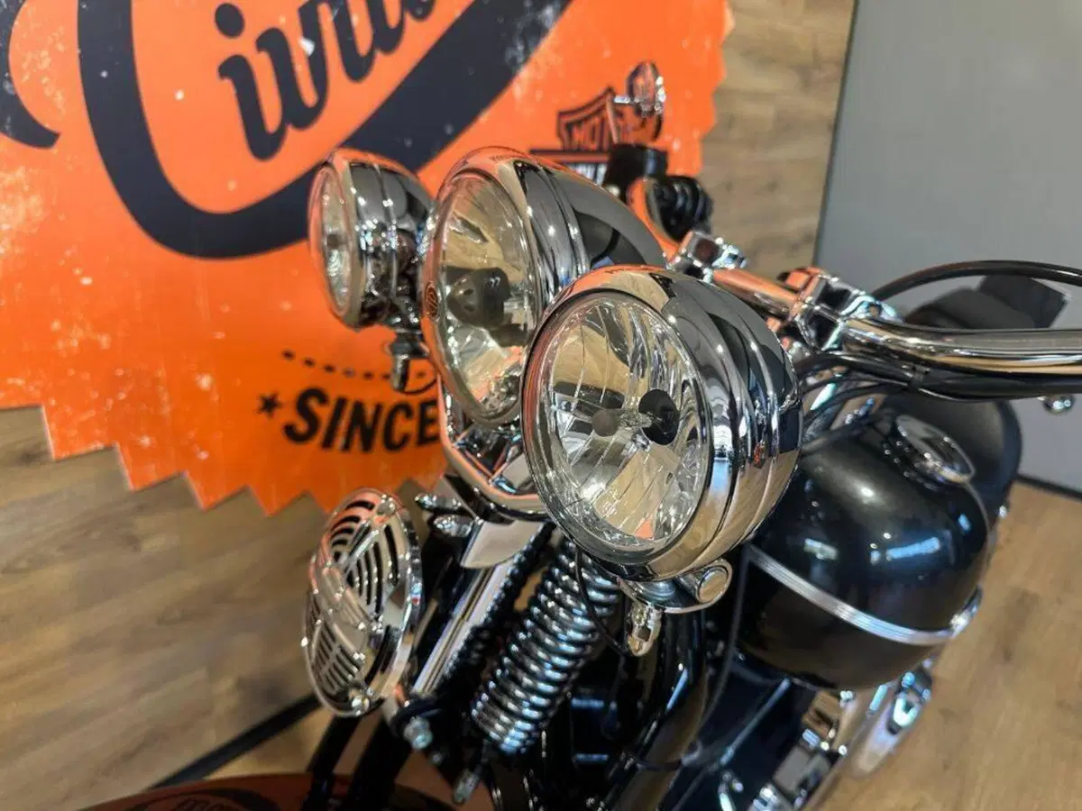 Harley-Davidson 1584 Springer Classic (2006 - 07) - FLSTSC (15)