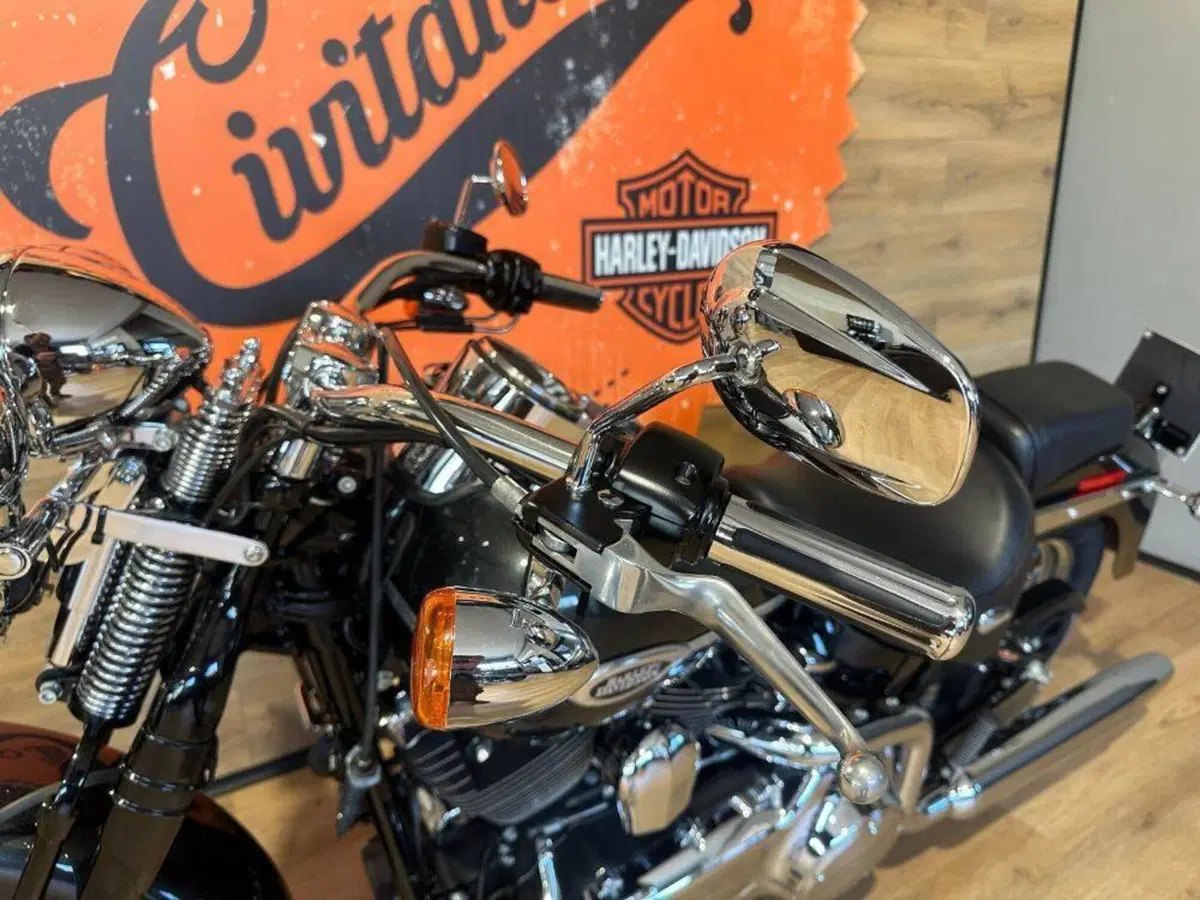 Harley-Davidson 1584 Springer Classic (2006 - 07) - FLSTSC (16)