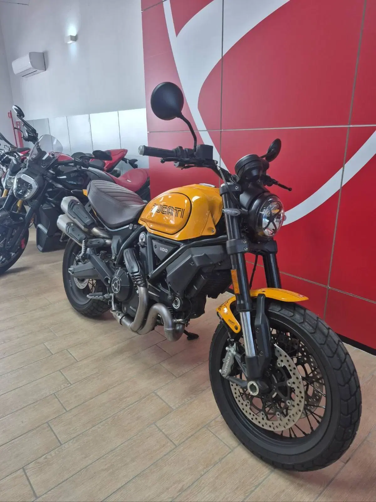 Ducati Scrambler 1100 Tribute Pro (2022 - 24) (3)