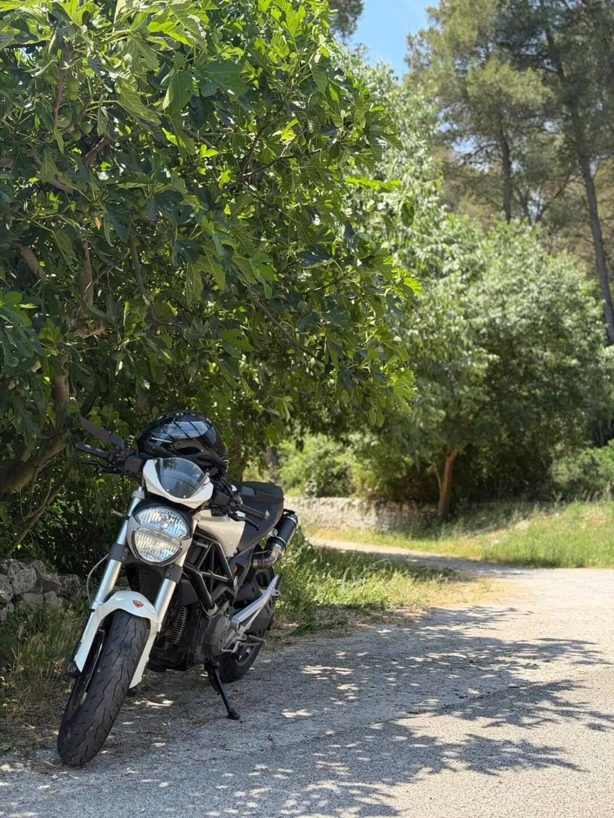 Ducati Monster 696 (2008 - 13) (4)