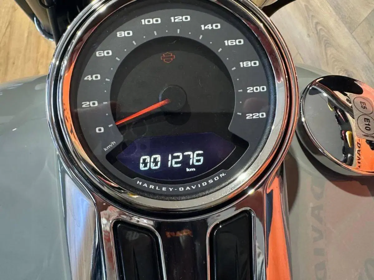 Harley-Davidson Sport Glide (2021 - 25) (10)