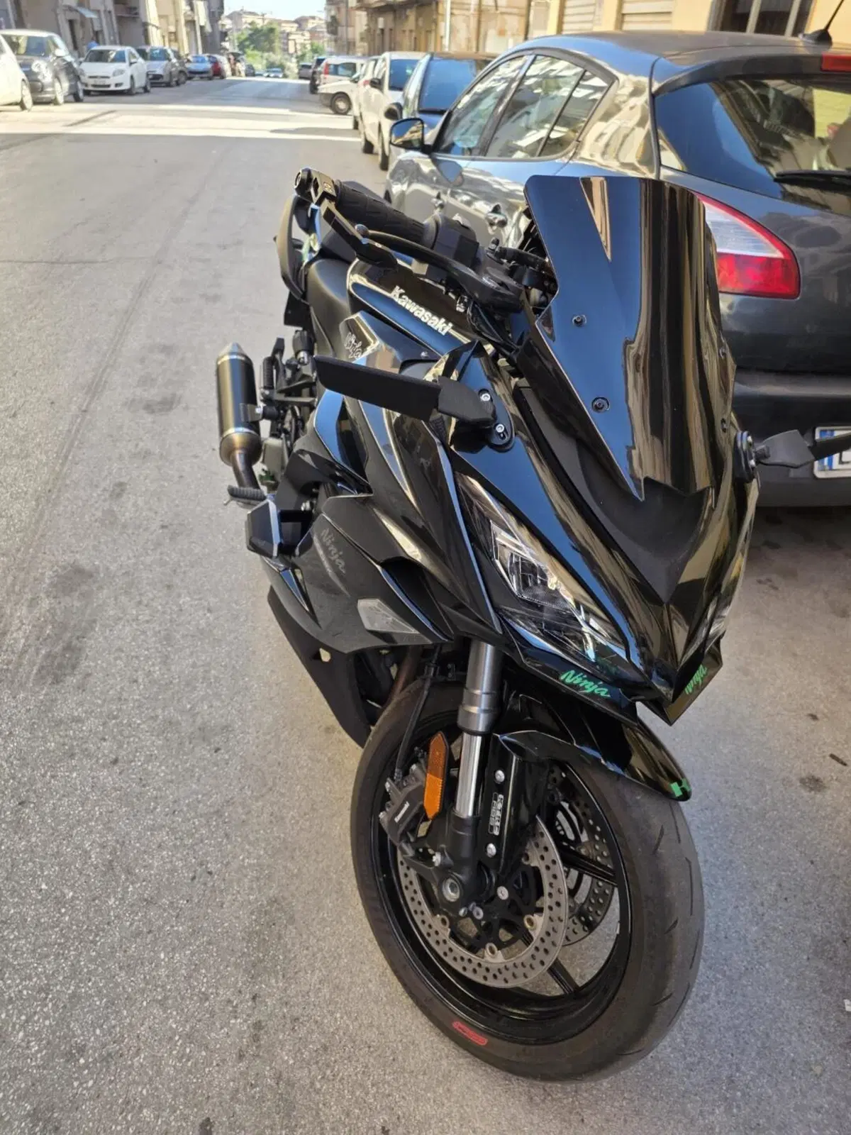 Kawasaki Ninja 1000 SX (2021 - 24) (3)