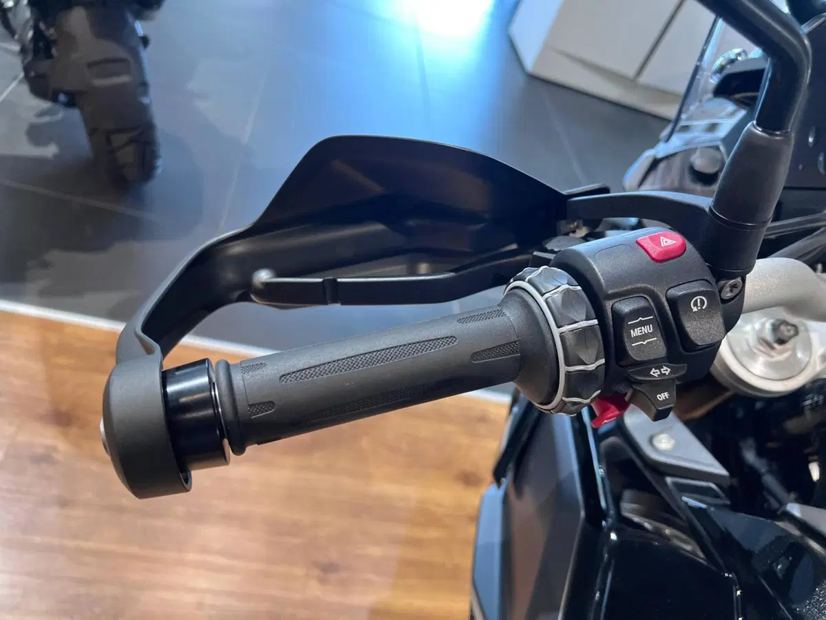 Bmw F 900 GS (2024 - 26) (10)