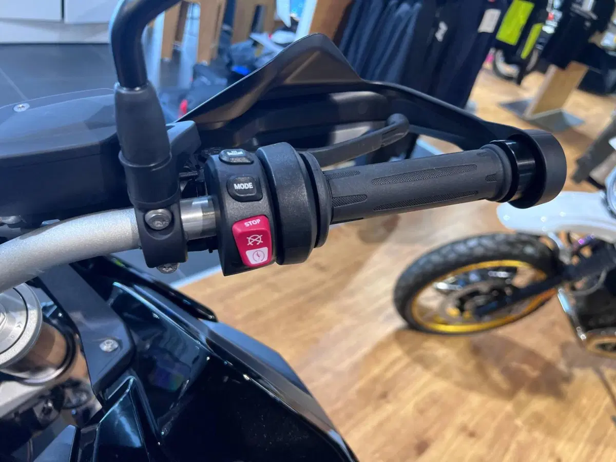 Bmw F 900 GS (2024 - 26) (11)