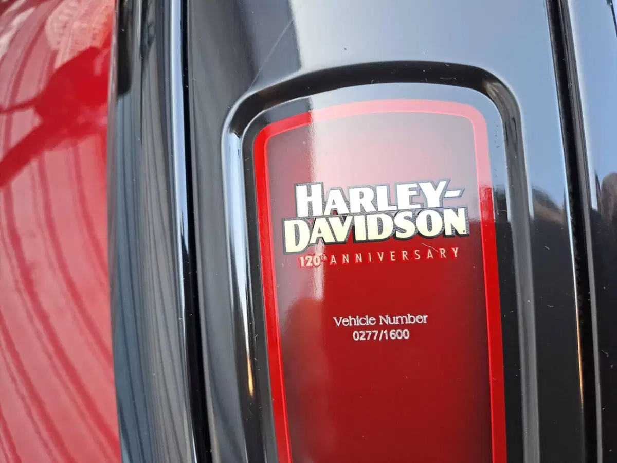 Harley-Davidson Road Glide Special Anniversary (2023) (4)
