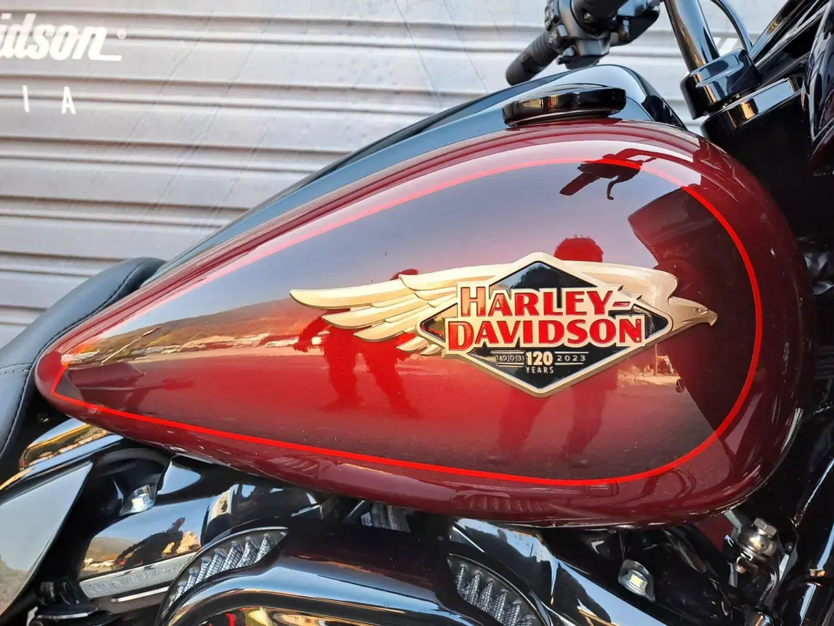 Harley-Davidson Road Glide Special Anniversary (2023) (5)