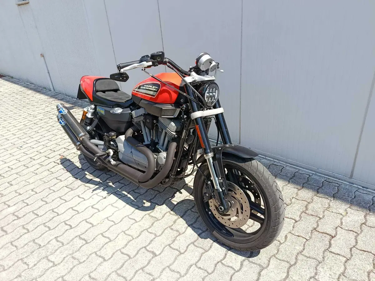 Harley-Davidson 1200 XR (2009 - 12) (2)