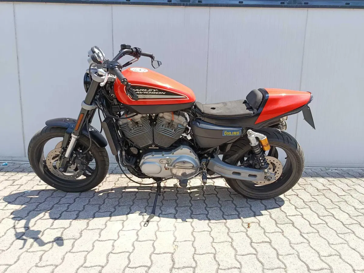 Harley-Davidson 1200 XR (2009 - 12) (6)