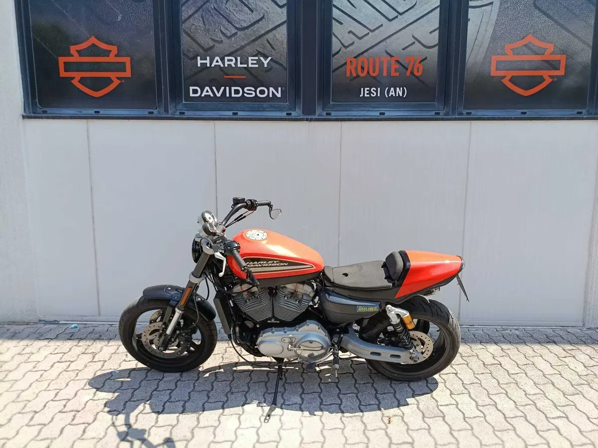 Harley-Davidson 1200 XR (2009 - 12) (7)