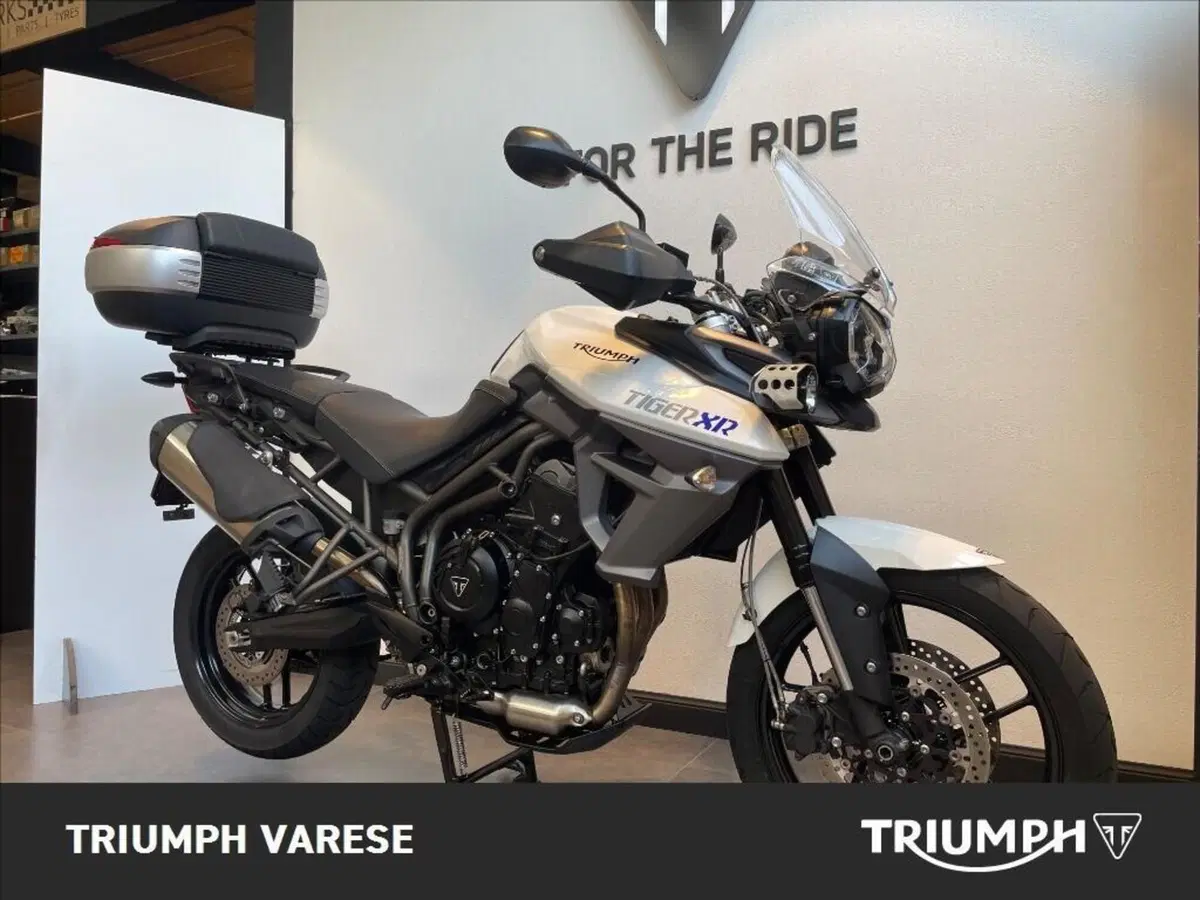Triumph Tiger 800 XR (2015 - 17) (2)