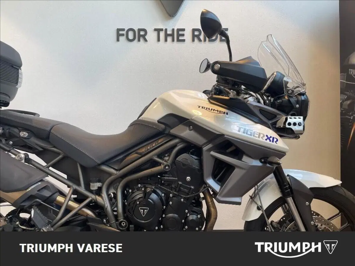Triumph Tiger 800 XR (2015 - 17) (5)