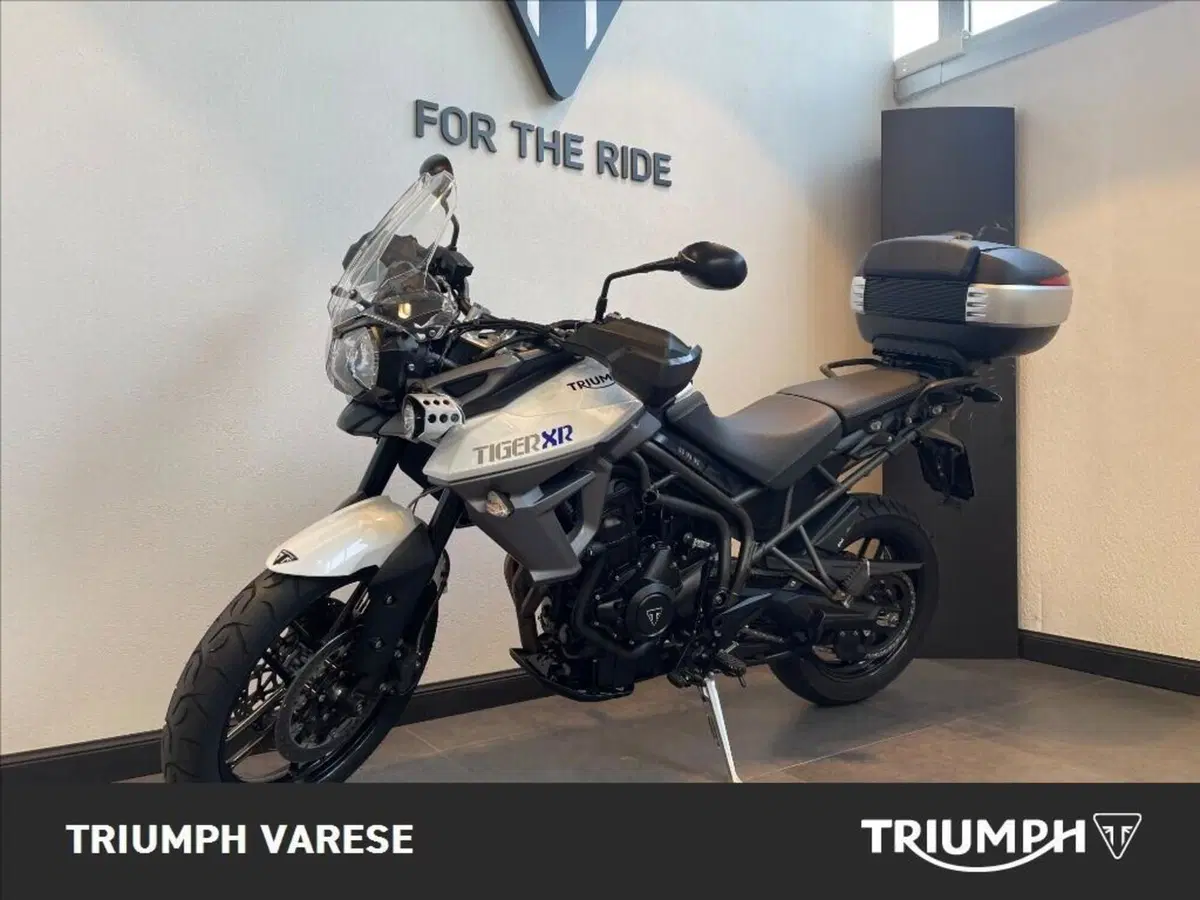Triumph Tiger 800 XR (2015 - 17) (4)