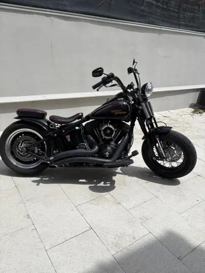 Harley-Davidson 1584 Cross Bones (2008 - 11) - FLSTSB usata
