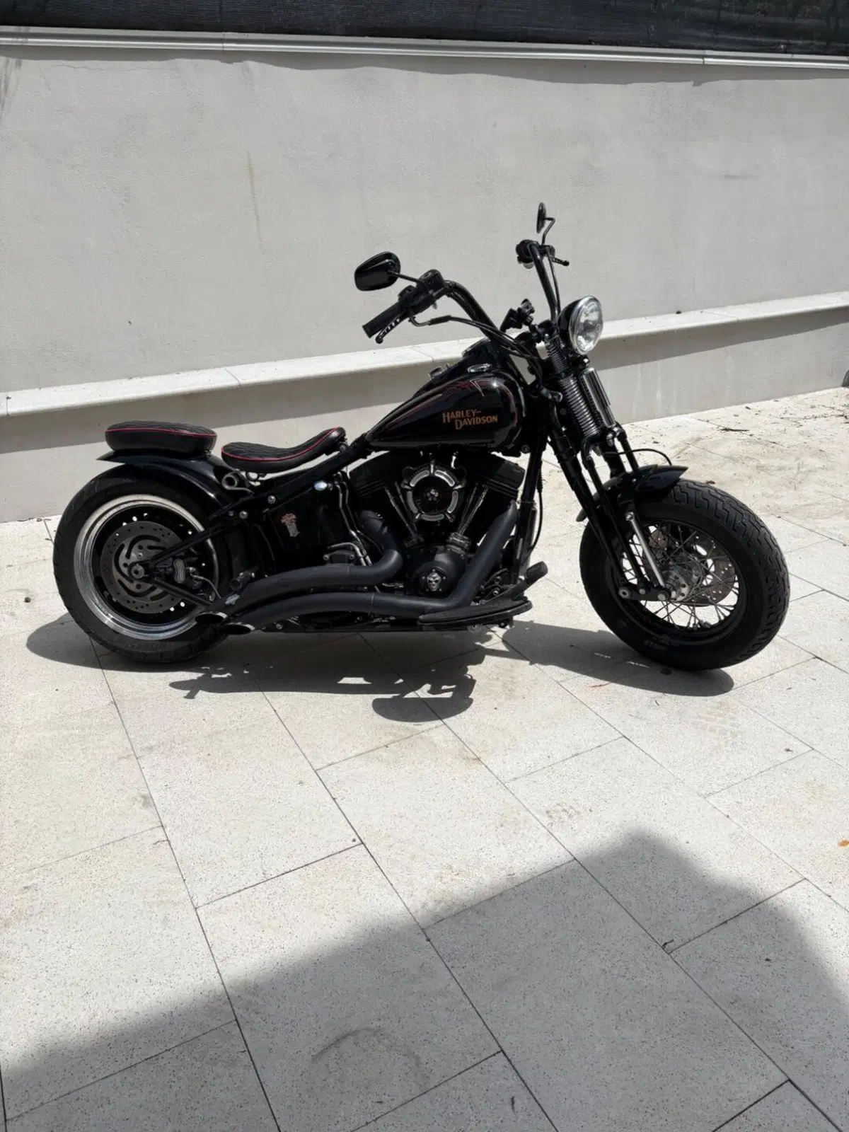 Harley-Davidson 1584 Cross Bones (2008 - 11) - FLSTSB (2)