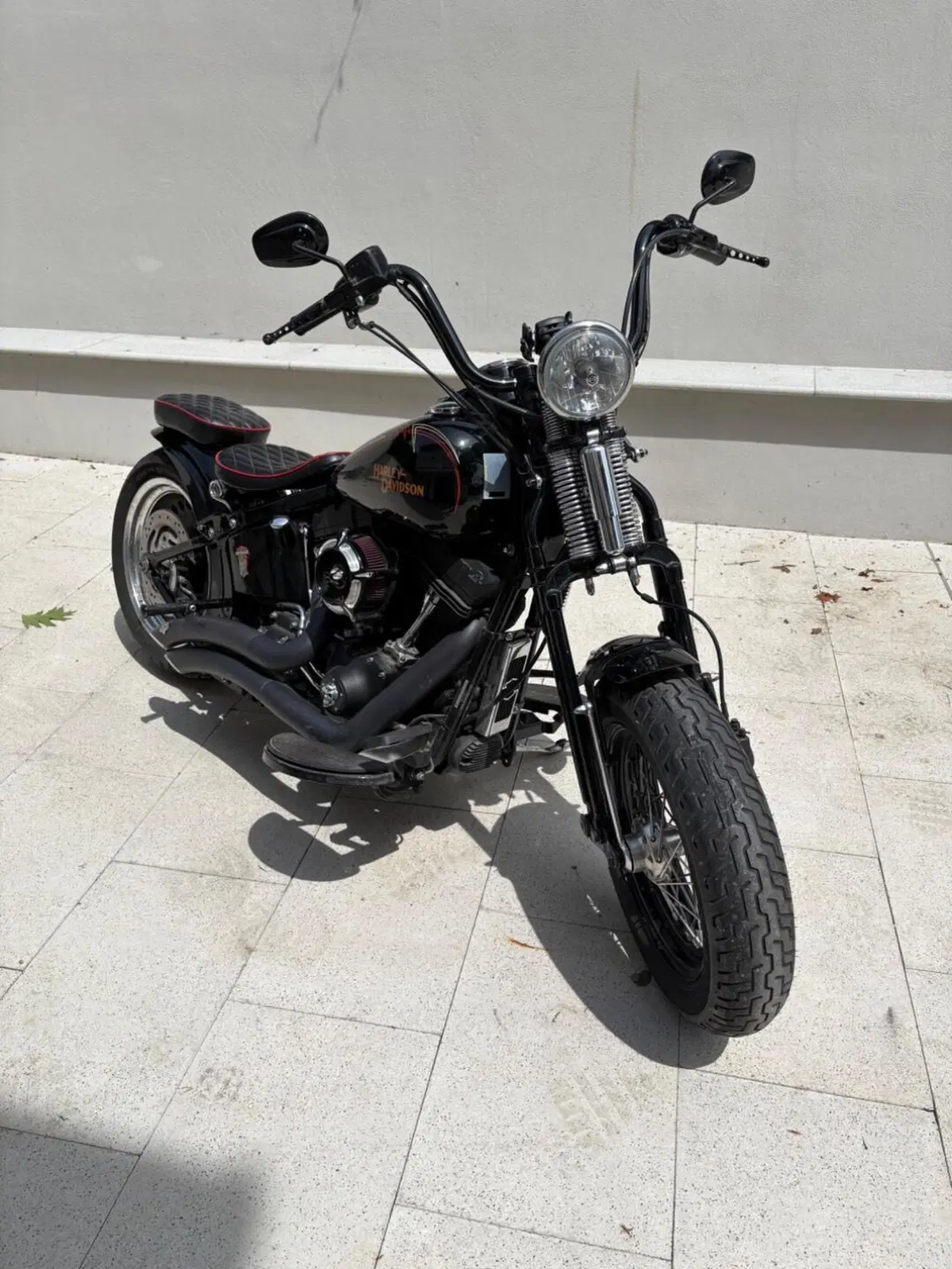 Harley-Davidson 1584 Cross Bones (2008 - 11) - FLSTSB (3)
