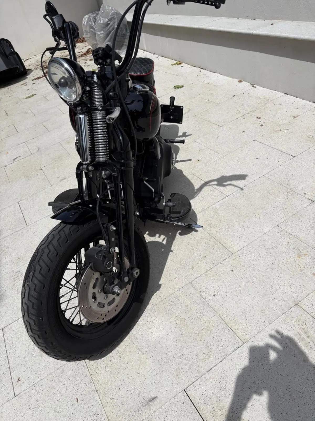 Harley-Davidson 1584 Cross Bones (2008 - 11) - FLSTSB (5)