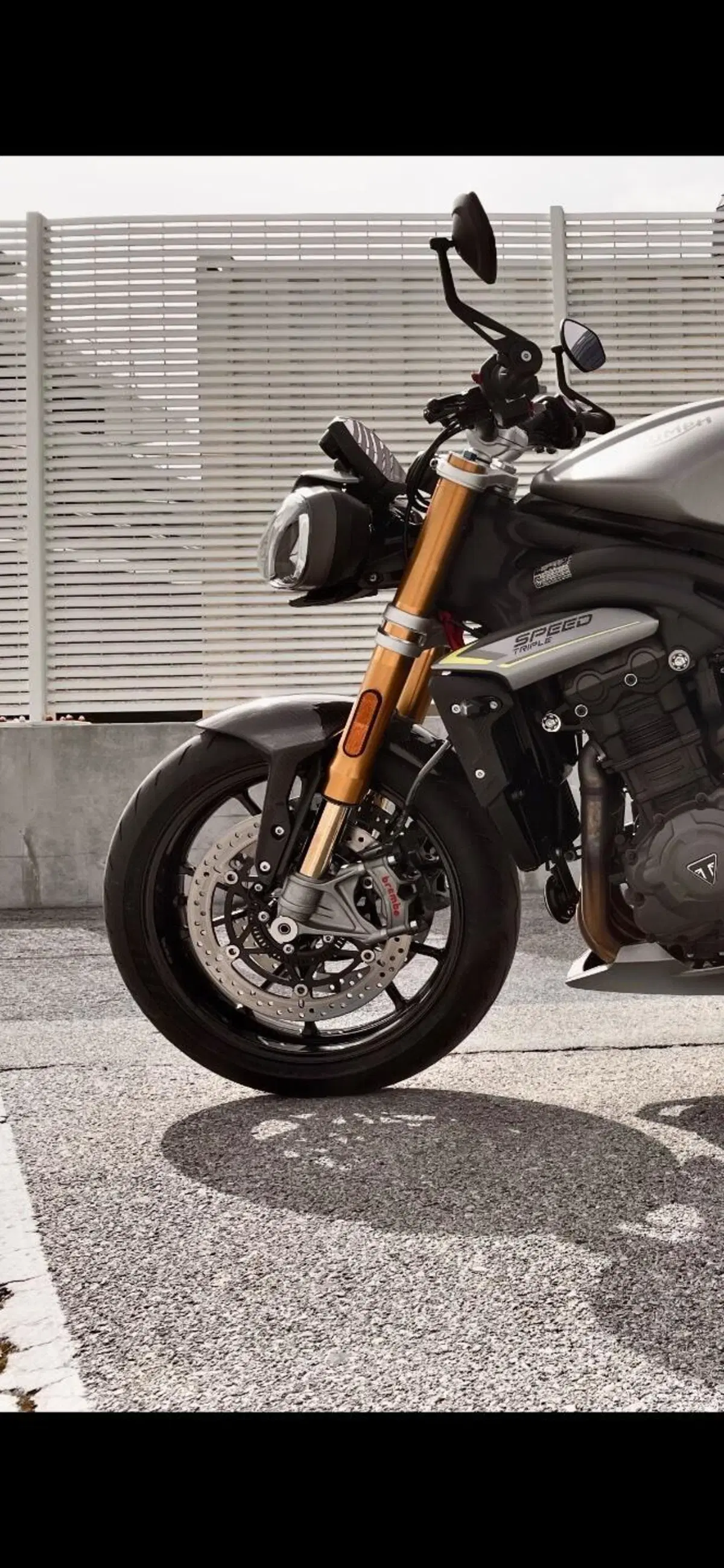 Triumph Speed Triple 1200 RS (2021 - 24) (5)