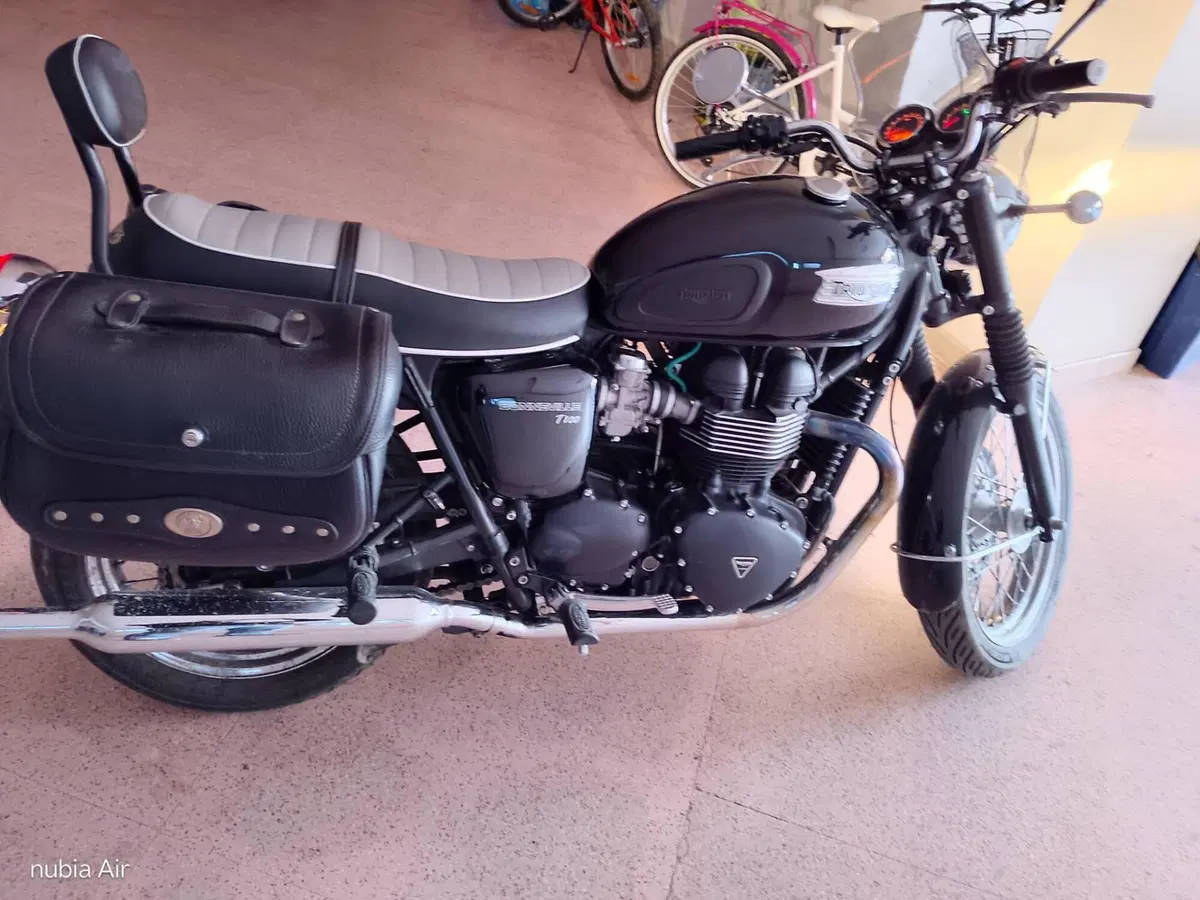 Triumph Bonneville T100 (2008 - 16) (2)