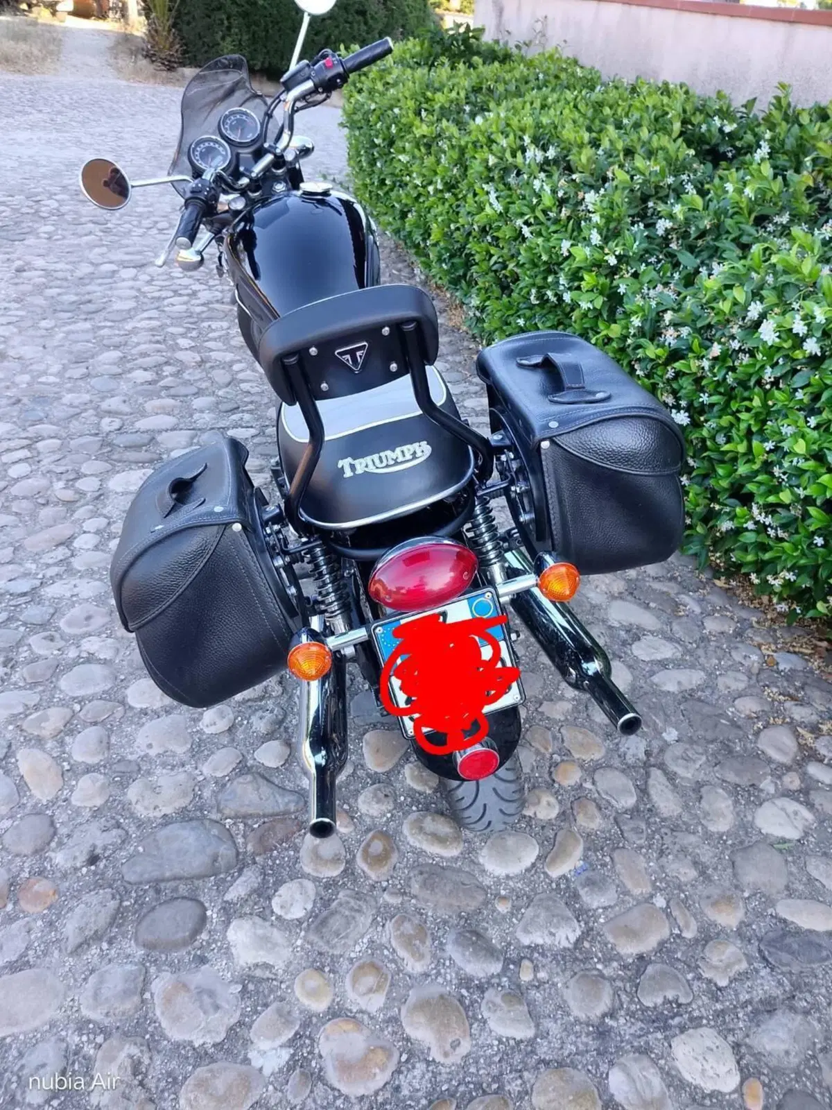 Triumph Bonneville T100 (2008 - 16) (4)
