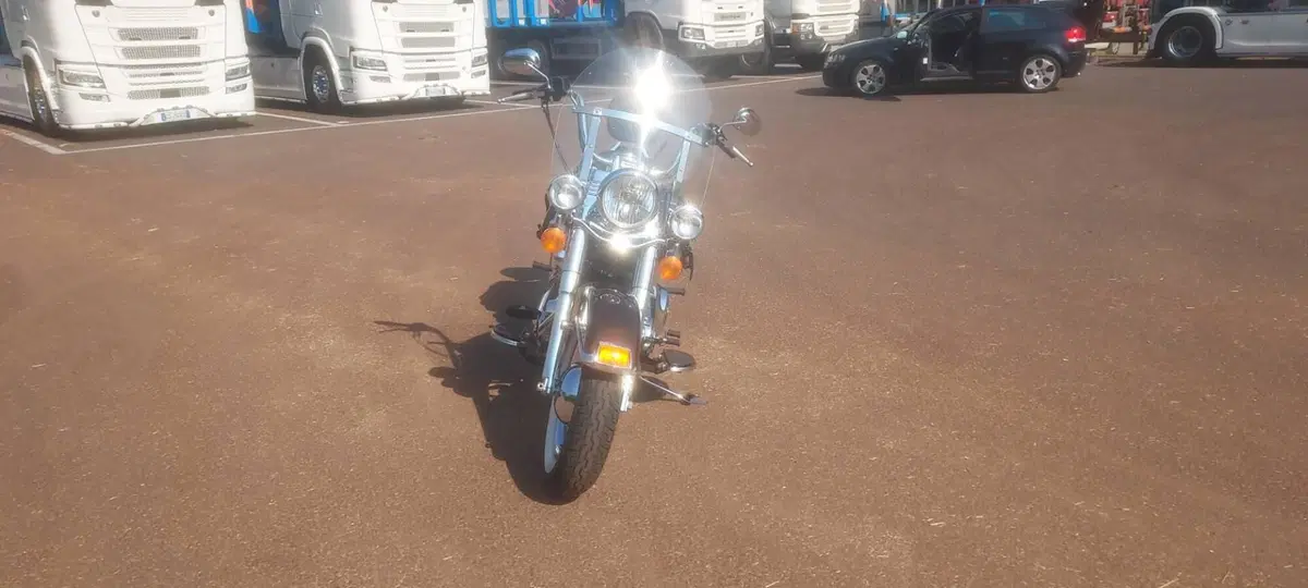 Harley-Davidson 1690 Heritage Classic (2011 - 17) - FLSTC (4)