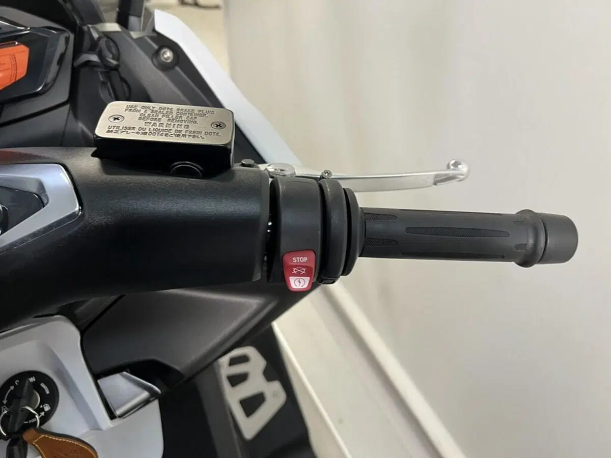 Bmw C 650 Sport (2016 - 20) (10)