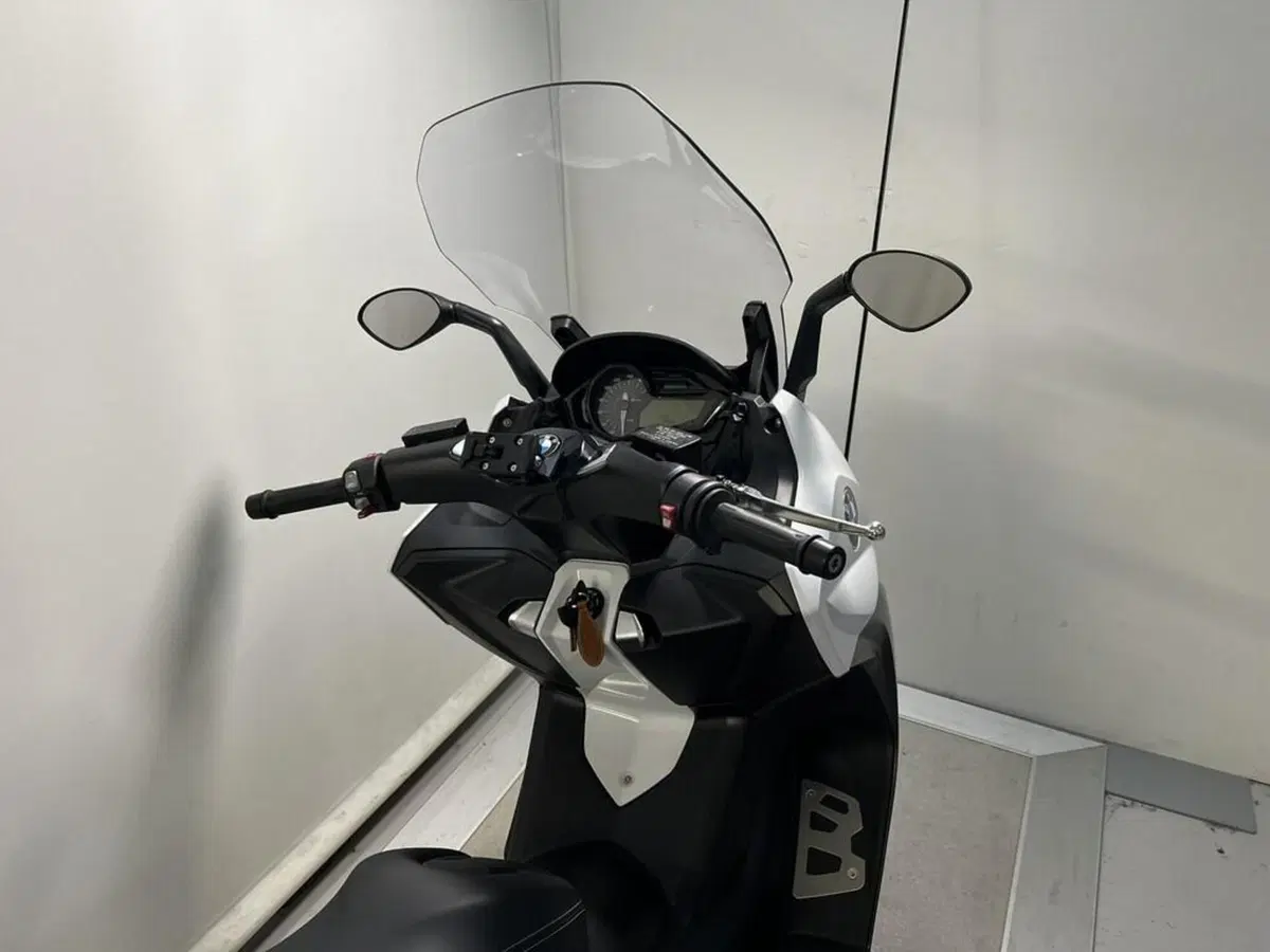 Bmw C 650 Sport (2016 - 20) (14)