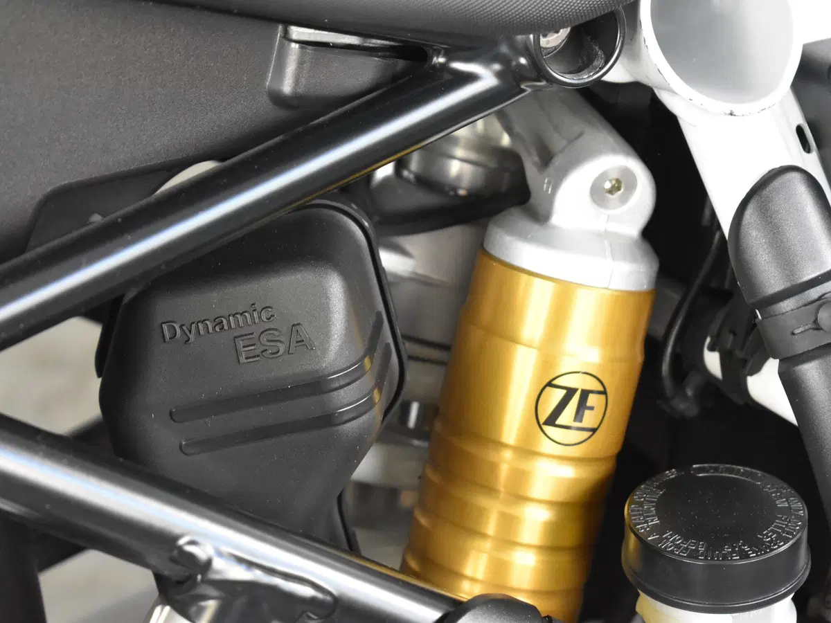 Bmw R 1250 GS (2019 - 20) (9)
