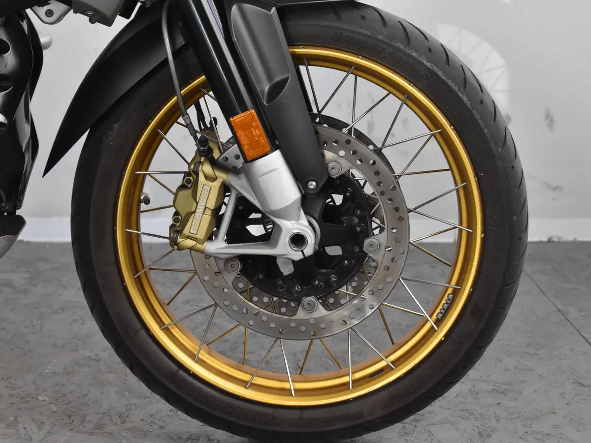 Bmw R 1250 GS (2019 - 20) (11)