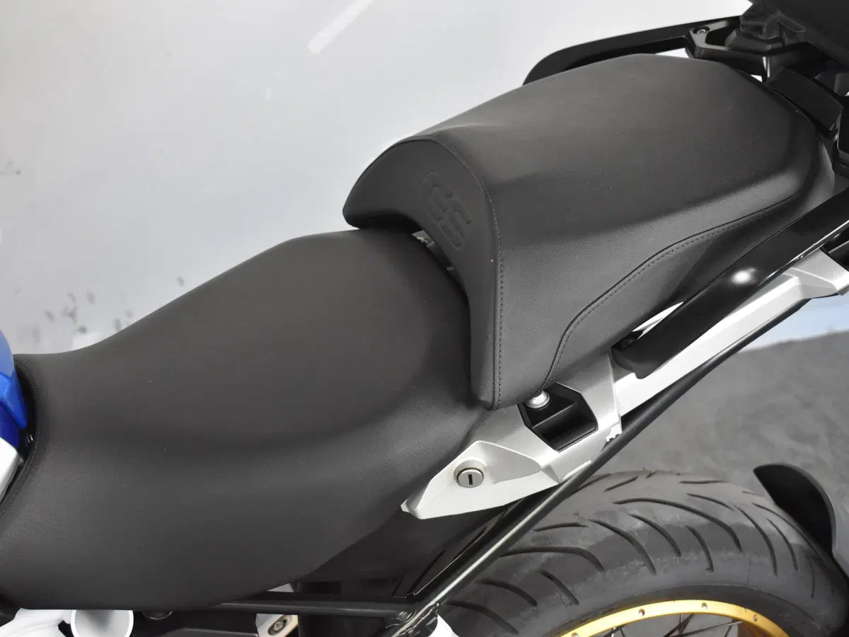 Bmw R 1250 GS (2019 - 20) (18)