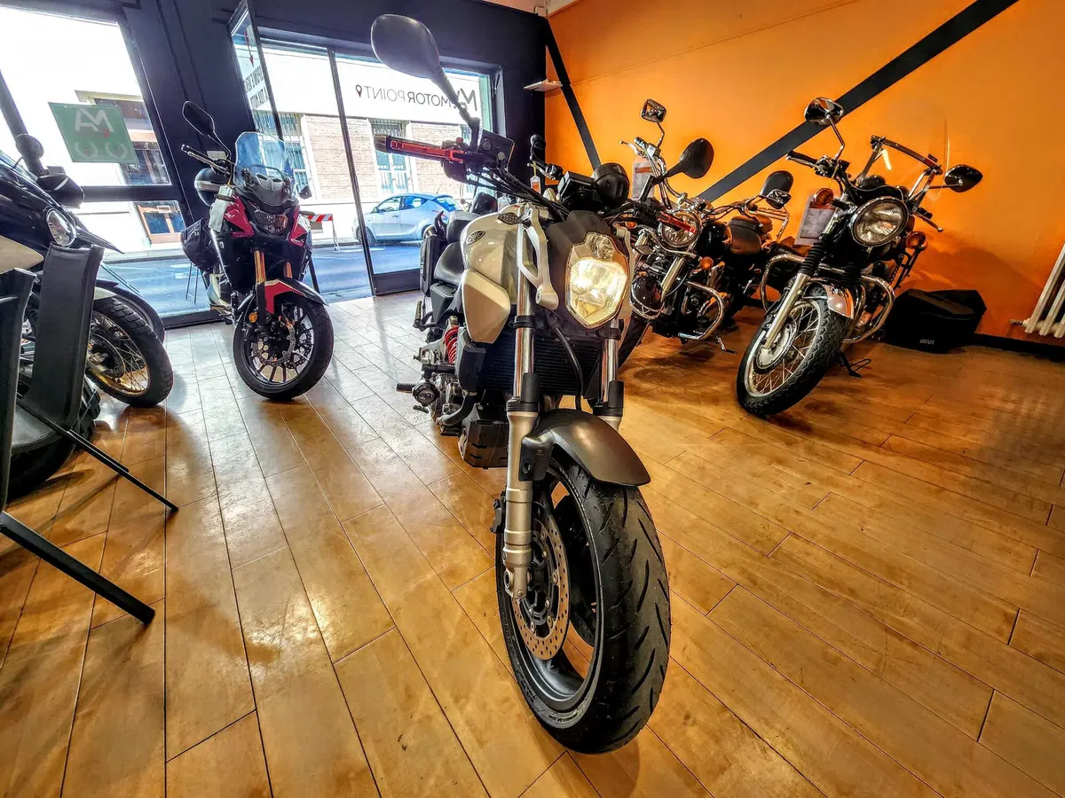 Yamaha MT-03 (2006 - 14) (3)