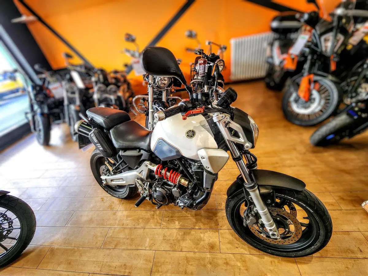 Yamaha MT-03 (2006 - 14) (7)