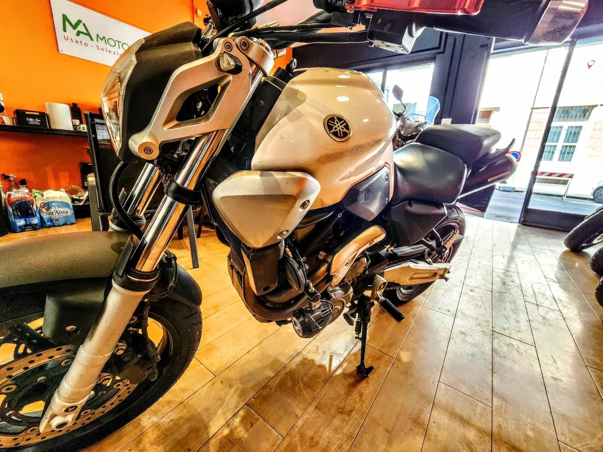 Yamaha MT-03 (2006 - 14) (13)