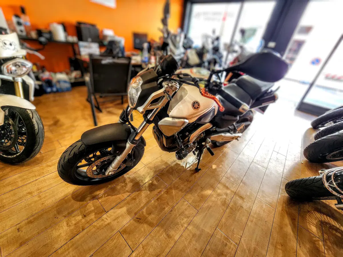 Yamaha MT-03 (2006 - 14) (19)