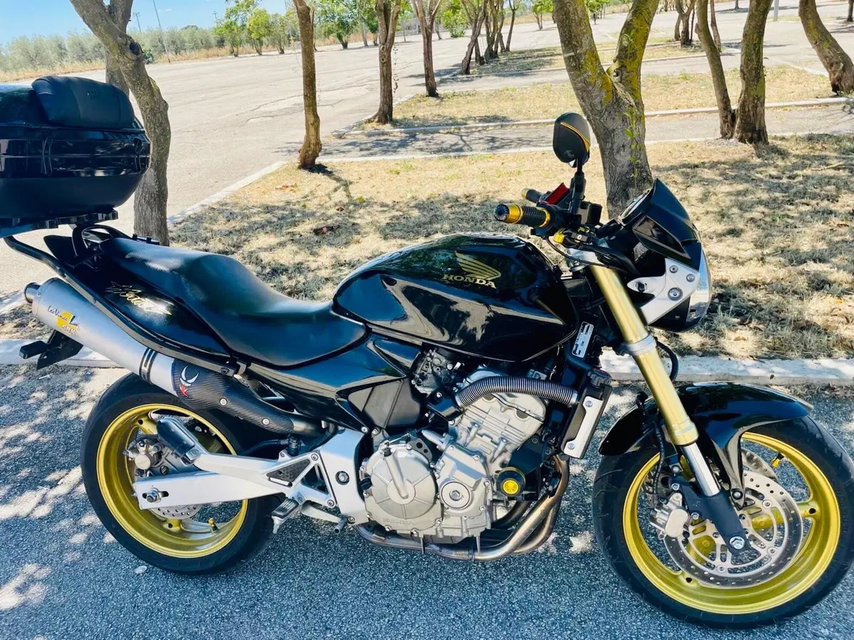 Honda Hornet 600 (2005 - 06)