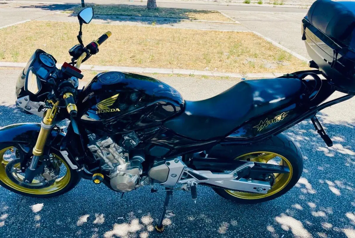 Honda Hornet 600 (2005 - 06) (2)