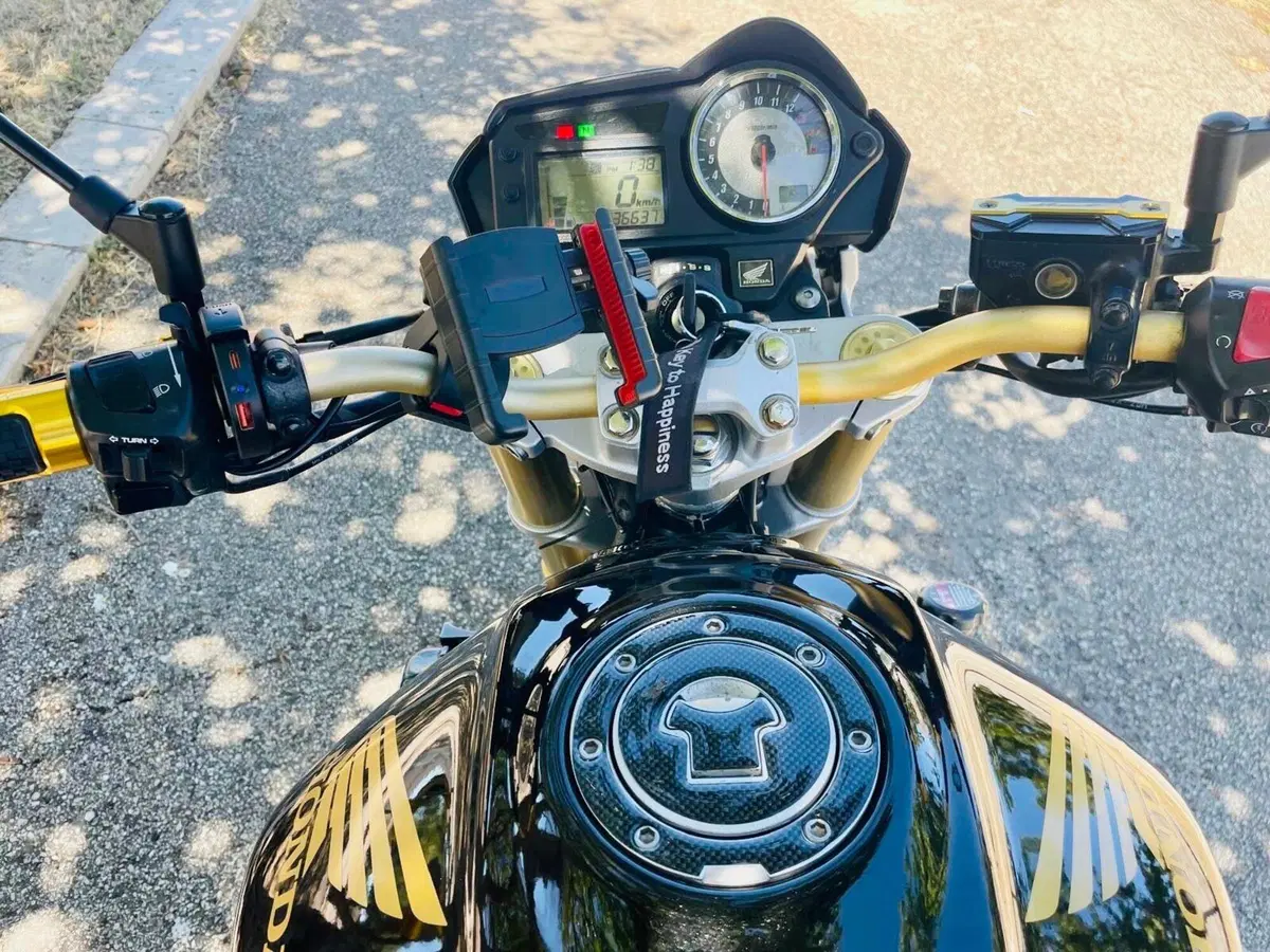 Honda Hornet 600 (2005 - 06) (3)