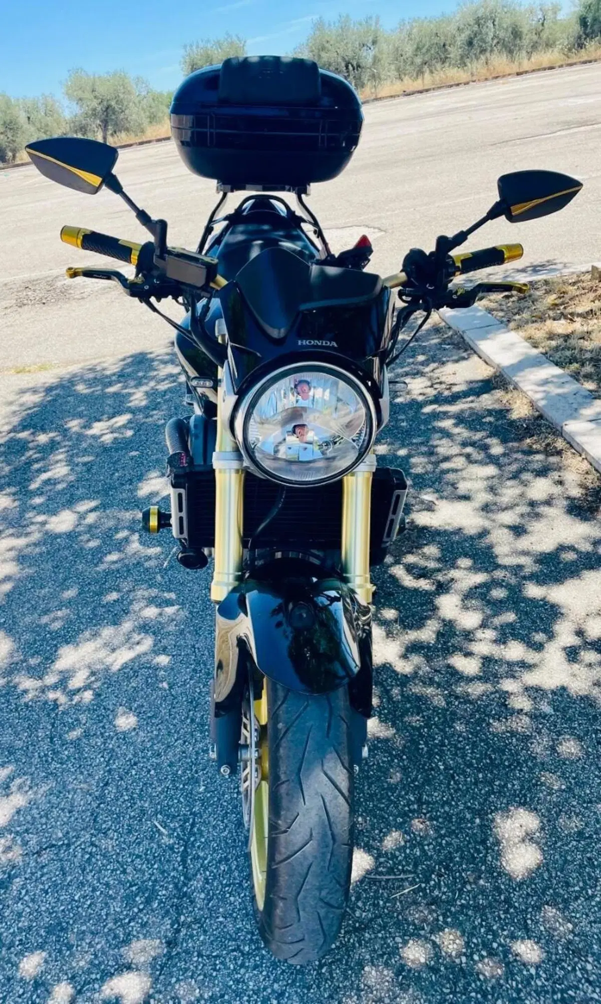 Honda Hornet 600 (2005 - 06) (4)