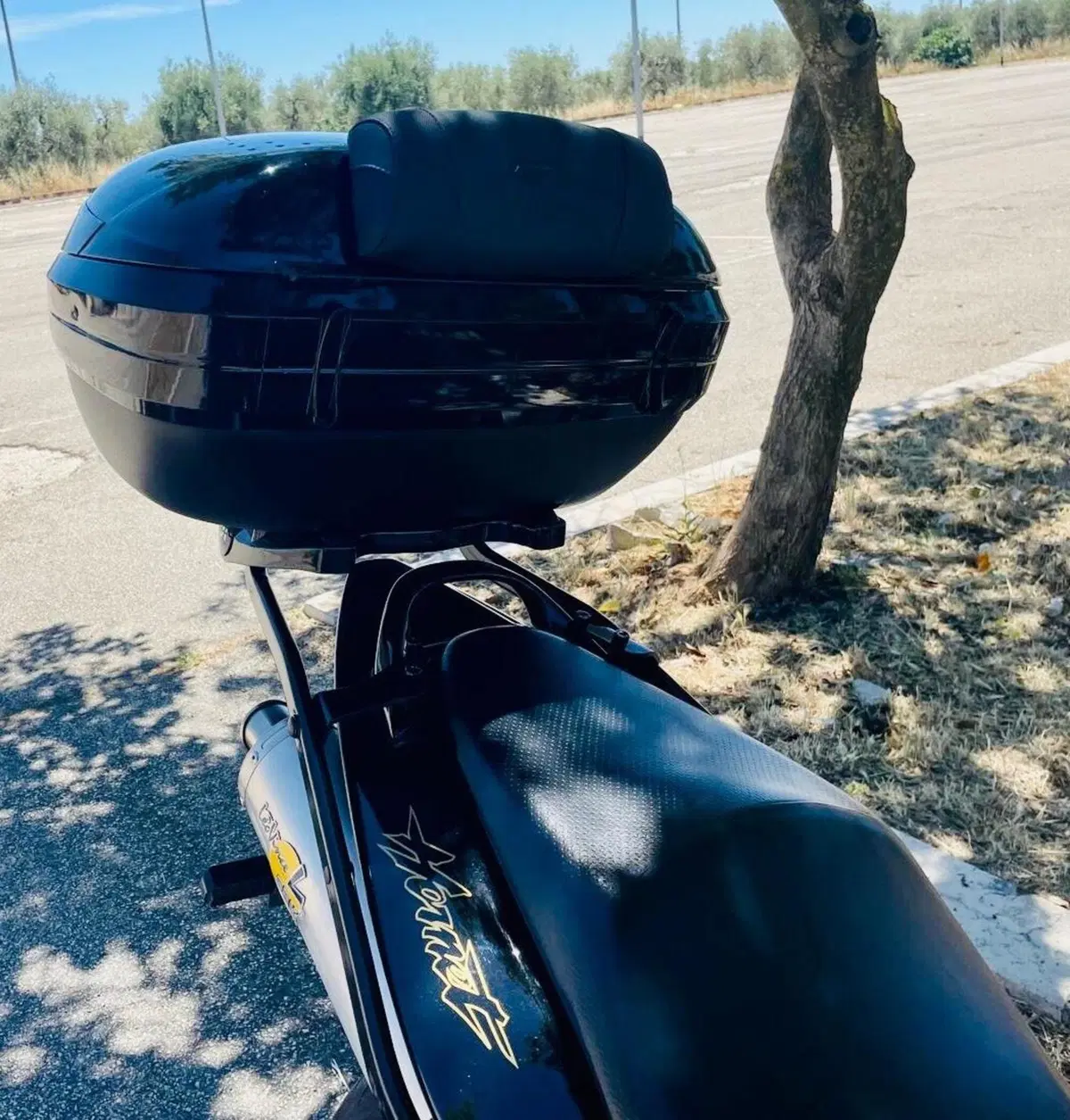 Honda Hornet 600 (2005 - 06) (6)