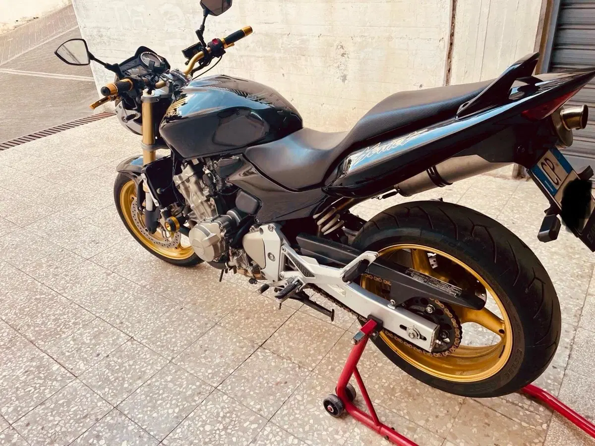 Honda Hornet 600 (2005 - 06) (9)