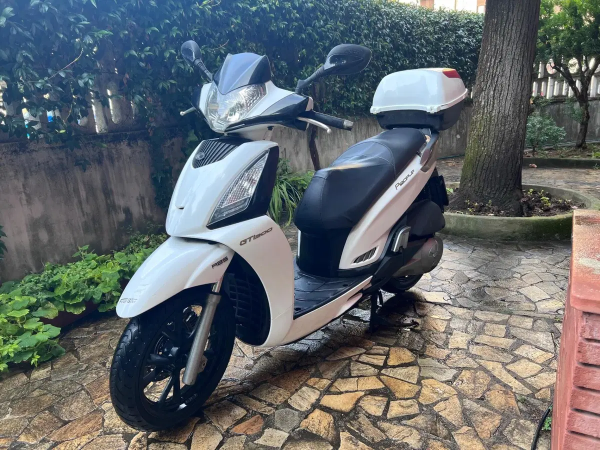 Kymco People 300i GT ABS (2010 - 17) (3)