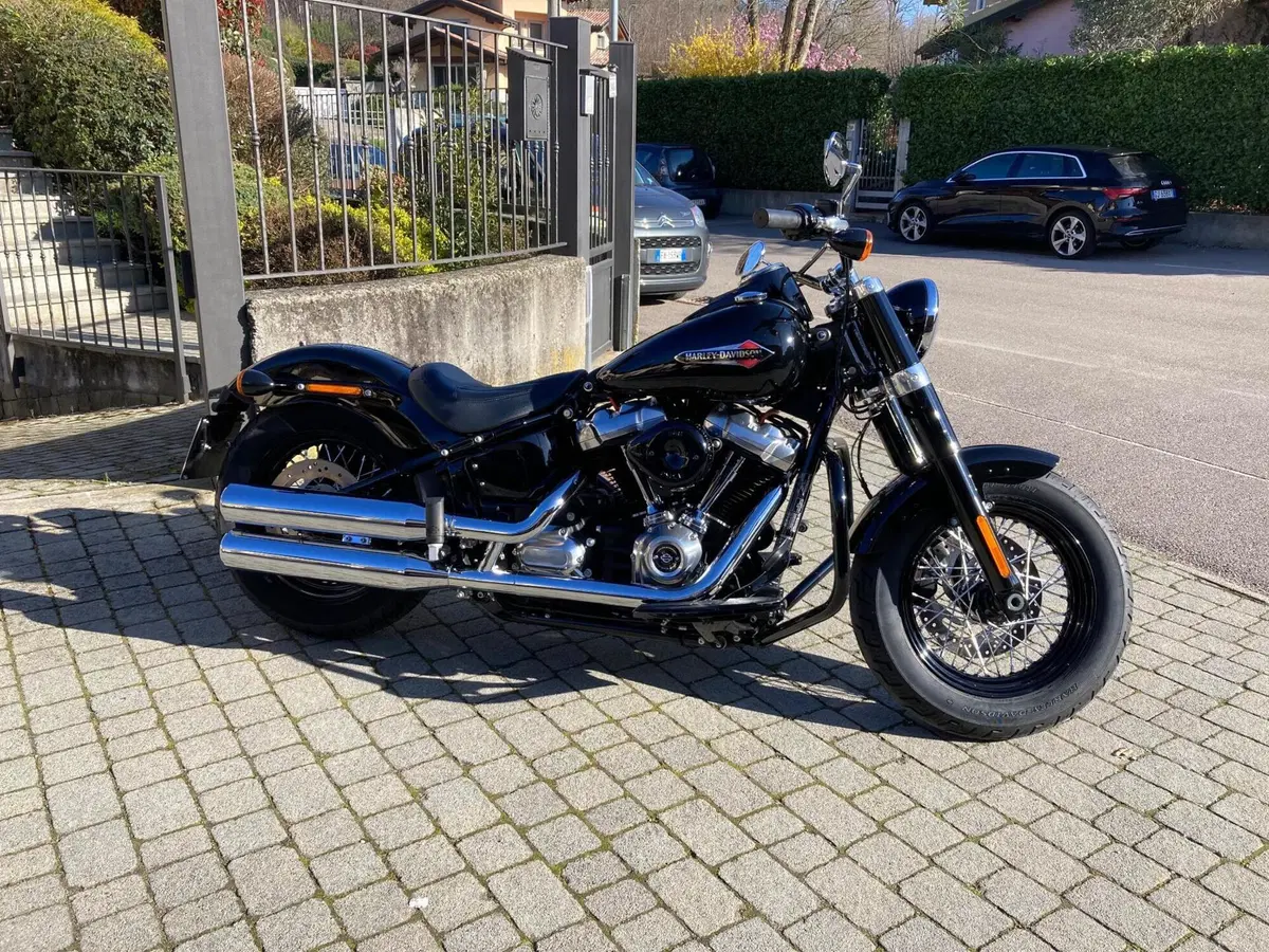 Harley-Davidson 107 Slim (2018 - 20) - FLSL (2)