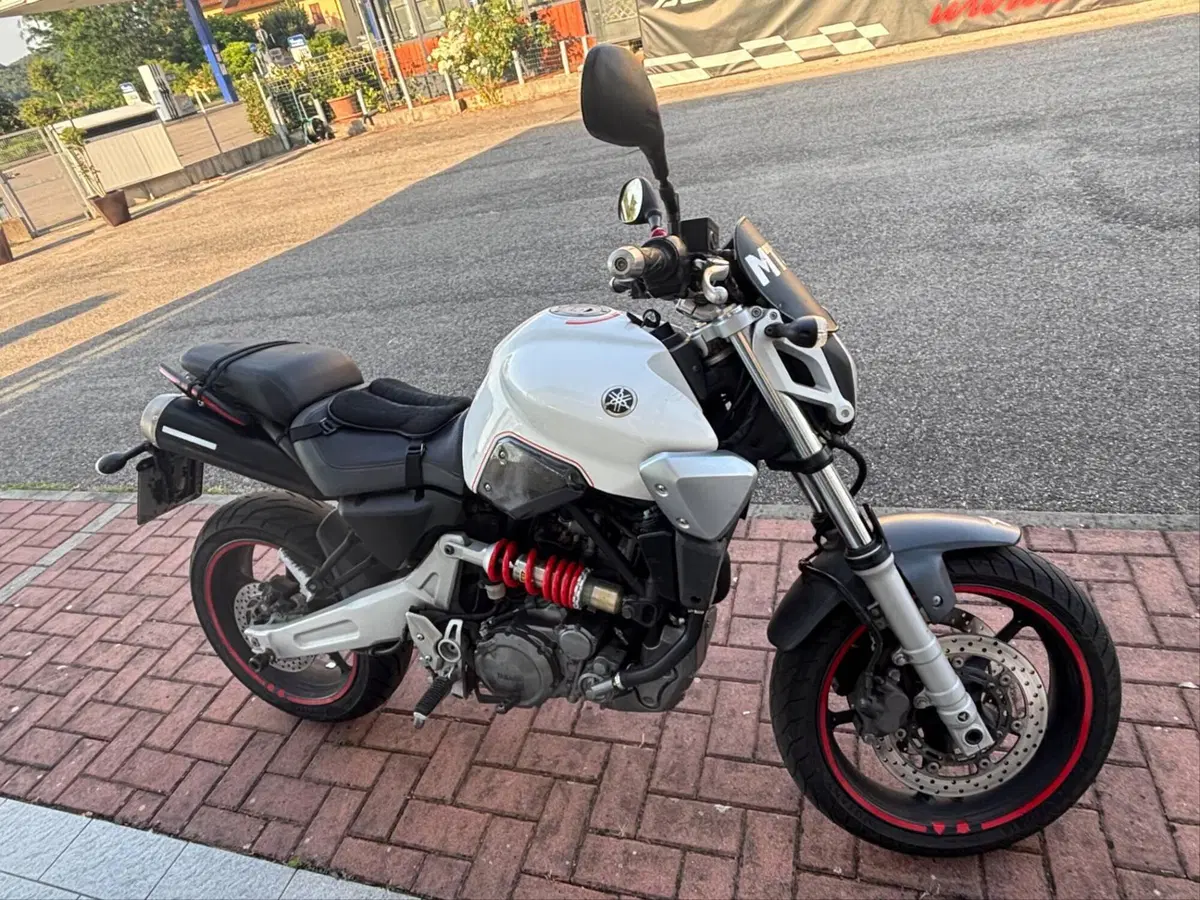 Yamaha MT-03 (2006 - 14) (4)