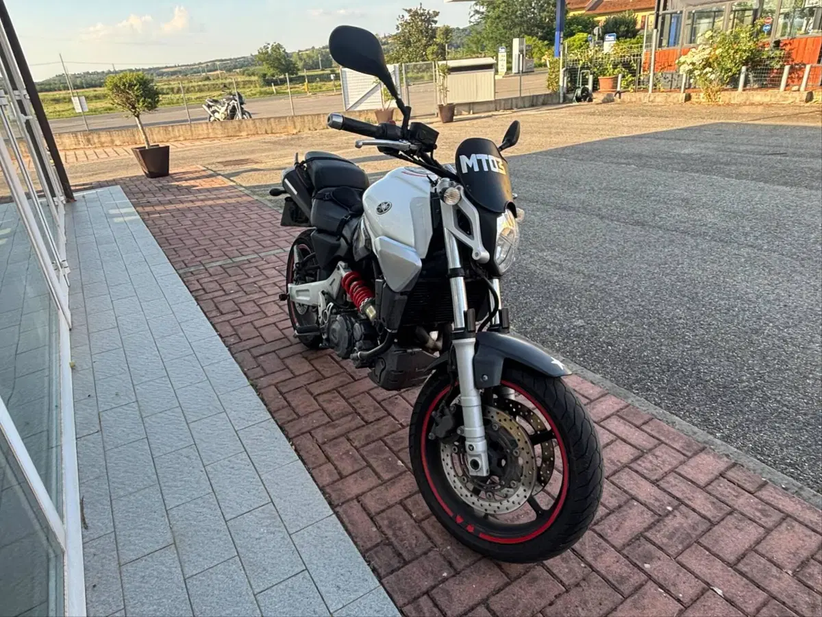 Yamaha MT-03 (2006 - 14) (3)