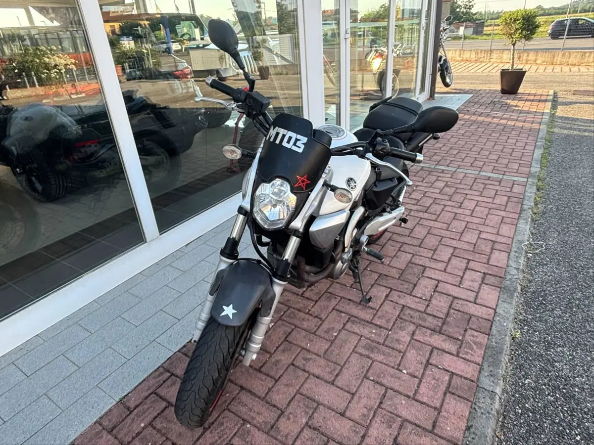 Yamaha MT-03 (2006 - 14) (2)