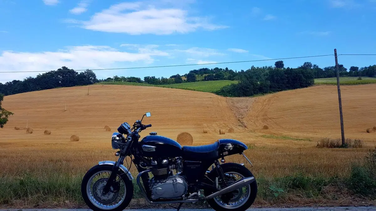 Triumph Thruxton 900 (2004 - 15) (7)