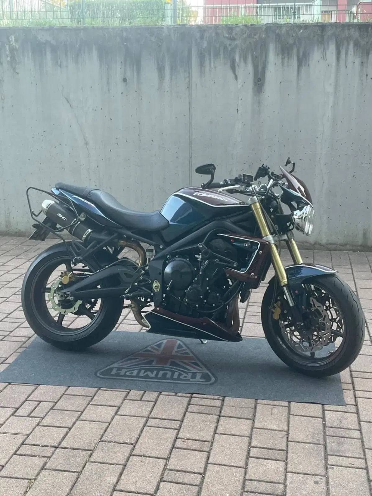 Triumph Street Triple (2007 - 12) (2)