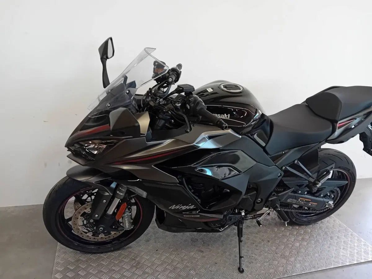 Kawasaki Ninja 1100 SX SE (2025 - 26) (4)