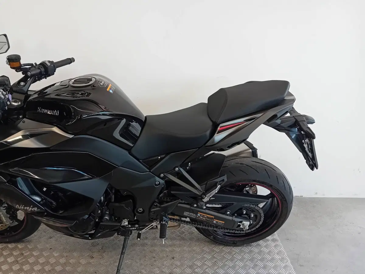 Kawasaki Ninja 1100 SX SE (2025 - 26) (5)